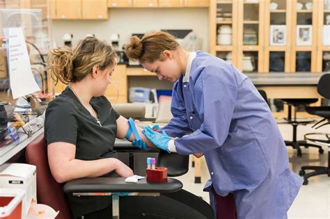 What Essential Skills Are Taught In Phlebotomy Training