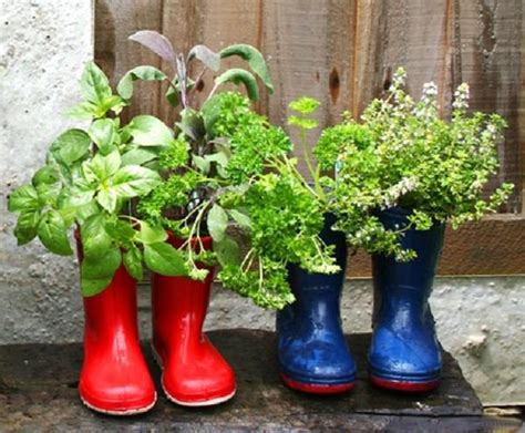 8 Balcony Herb Garden Ideas You Would Like to Try