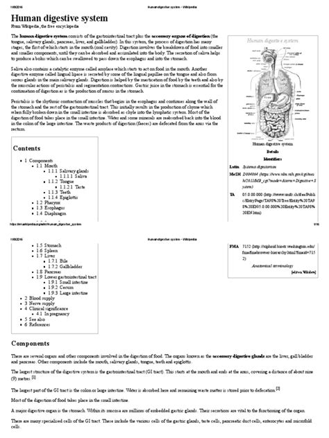 Human Digestive System Wikipedia Download Free Pdf Human