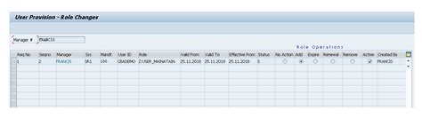 Sap User Access Provisioning Automate Access Approval Auditbot