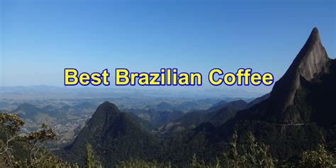 The 7 Best Brazilian Coffees (Top Rankings from Brazil in 2022)