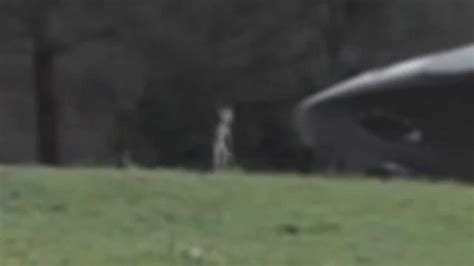 Real UFO With Aliens Caught On Camera Dec 6 2013 YouTube