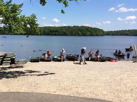 Hike Bike Paddle and Play Around Burke Lake Park in Northern VA