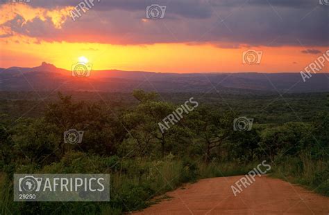 AFRIPICS Scenic Landscape Of A Beautiful Sunrise In The Kruger