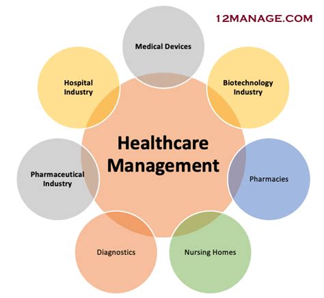 National Health Information Management Week 2024 Star Anallese