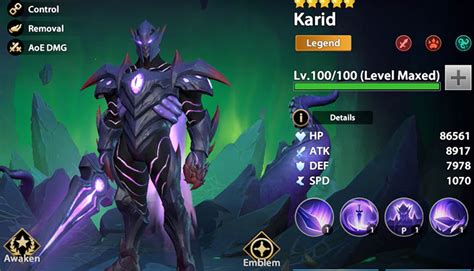 Infinite Magicraid Karid Build Emblem Equipment Artifacts Team