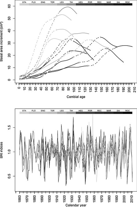 Top Trends In The Basal Area Increment Bai Of The Beech Sites