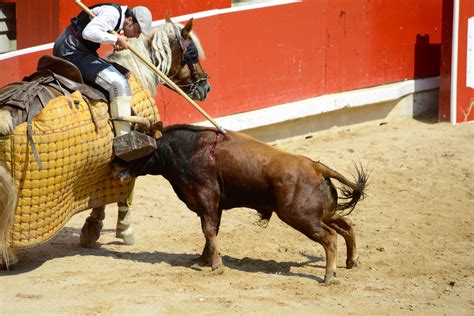 Picadores Bullfight 2 Pamplona Pictures Geography Im Austria Forum