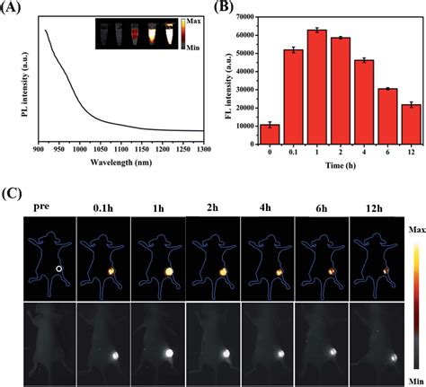 Figure From Design Of Zif Based Hybrid Nanoparticles With Hyaluronic