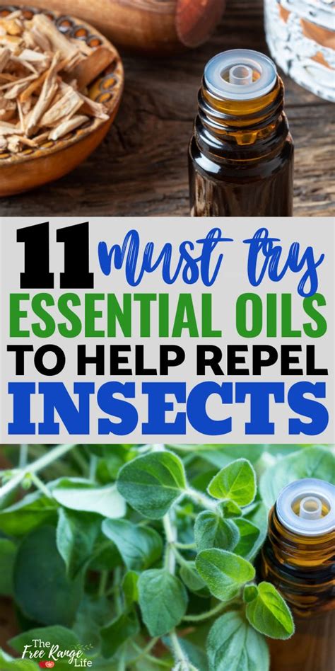 Essential Oils That Repel Bugs Insects And Pests Naturally