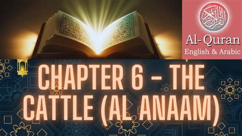 Al Quran Chapter The Cattle Al Anaam Arabic With English