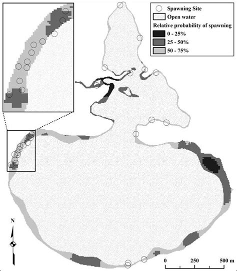 FishSens Magazine | Wisconsin Muskie Spawning Habitat Study Addresses Decline - FishSens Magazine