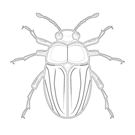 Preschool Insect Coloring Pages Coloring Pages Mimi Panda