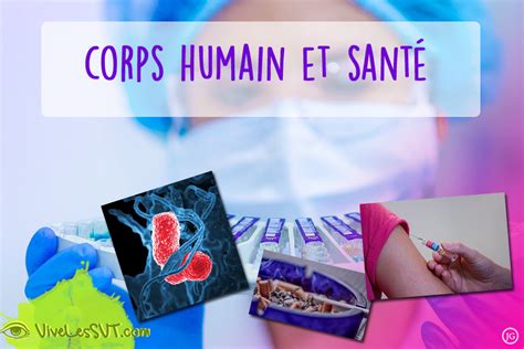 Corps Humain Et Santé 1ère Spé Svt Vive Les Svt Les Sciences De La