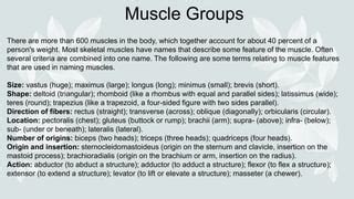 Muscular system | PPT