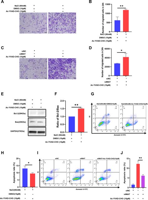 Caspase Ac Yvad Cho Apexbio Bioz