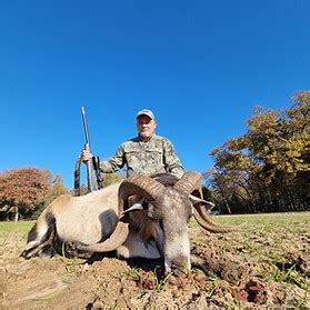 Ram Hunts In Texas Cedar Cove Ranch