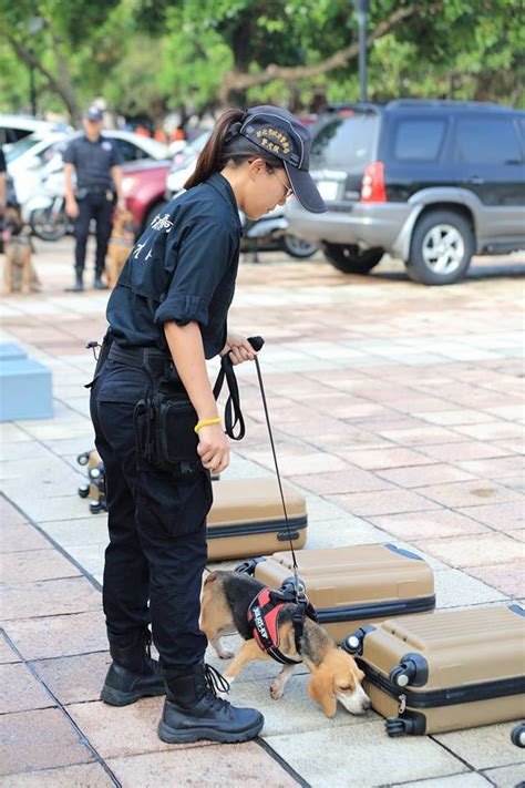 貢寮海祭第二天 超萌警犬福星人氣不減 華視新聞網