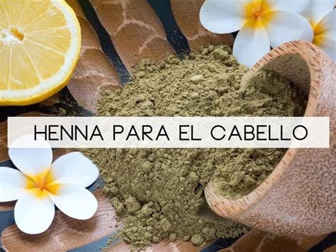 Todo Sobre La Henna Para El Cabello Cabellos C