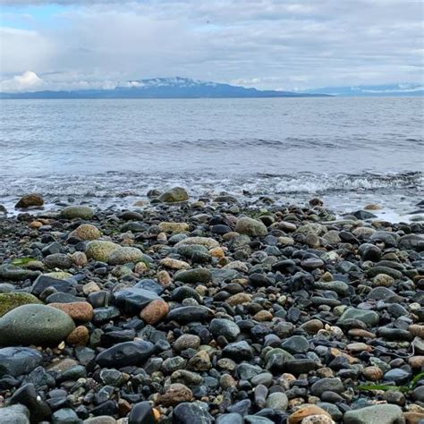 Visit Parksville Qualicum Beach Official Travel Guide Parksville