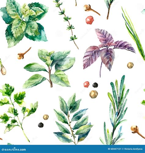 Watercolor Seamless Pattern Of Fresh Herbs Stock Vector