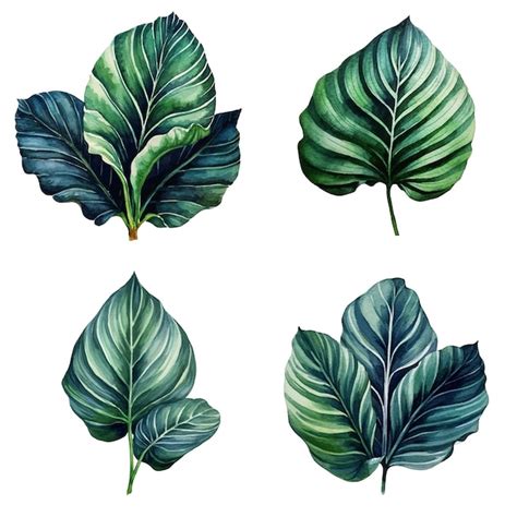 Conjunto de folhas em aquarela coleção tropical de plantas verdes da