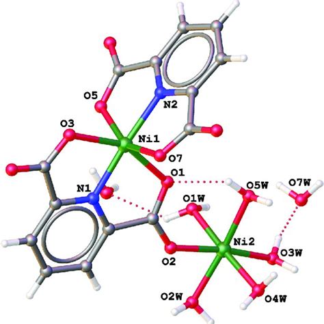 3 D Supramolecular H Bonds Network In The Crystal Structure Of 1 Download Scientific Diagram