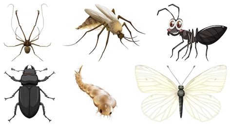 Colecci N De Diferentes Vectores De Insectos Vector Gratis