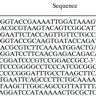 Thiamine biosynthesis and salvage pathway of Bacillus subtilis. B.... | Download Scientific Diagram