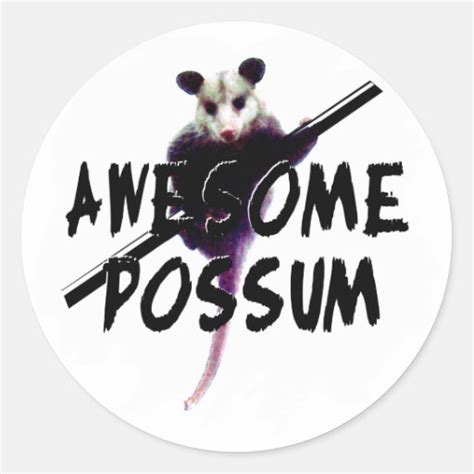 Awesome Possum Opossum Stickers