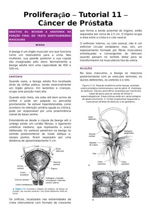 Biologia Molecular da Célula Capitulo 17 Proliferação Celular UESC