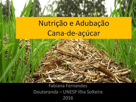 Pdf Nutri O E Aduba O Cana De A Car Feis Unesp Br C Lculo Da