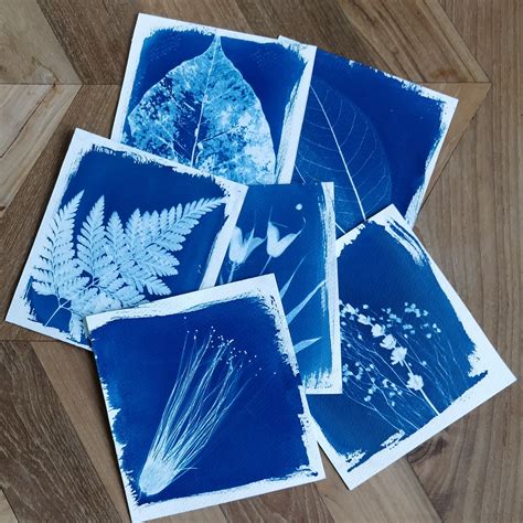 Cyanotype Printing On Behance