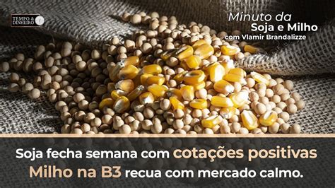 Soja Fecha Semana Com Cotações Positivas Milho Na B3 Recua Com Mercado