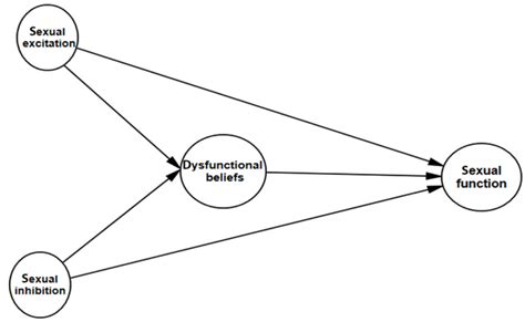 Structural Relationships Of Sexual Inhibition And Sexual Excitation