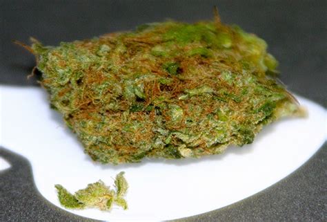 Top 7 Best Tasting Sativa Strains