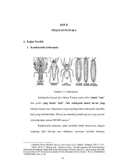 BAB II TINJAUAN PUSTAKA A Kajian Teoritik 1 Karakteristik Arthropoda