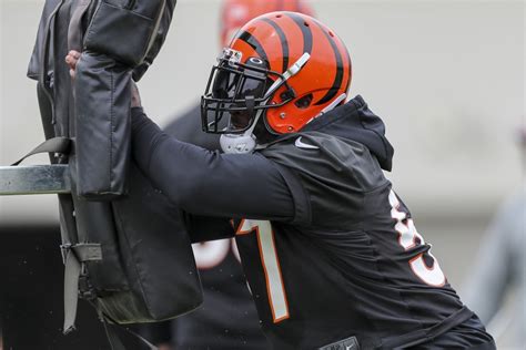 Cincinnati Bengals Injury Roundup: The Latest on La'el Collins ...