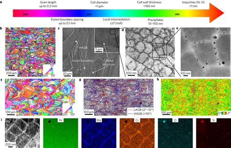 The Role Of Side Branching In Microstructure Development In 42 OFF