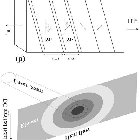 A Schematic Diagram Of Laser Irradiation B Schematic Download