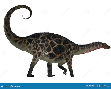 Dicraeosaurus Side Profile Stock Illustration Illustration Of Creature