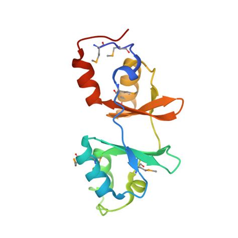 Rcsb Pdb Yzi Crystal Structure Of Uncharacterized Conserved Protein