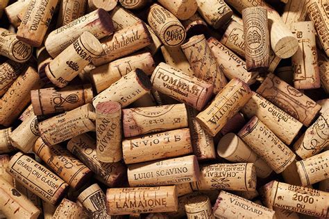 Wine Corks Wine Corks Winery Wine Cork Wine Corks Etsy