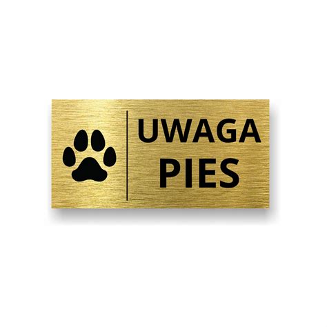 TABLICZKA UWAGA PIES 20x10cm trwały druk UV samoprzylepna Złota