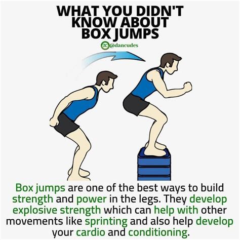 Plyo Box Workout With 5 Body Toning Exercises In 2020 Plyometrics