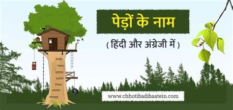 100+ पेड़ों के नाम हिंदी और अंग्रेजी में - Trees Names In Hindi - English