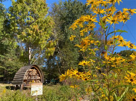 Chattahoochee Nature Center - Roswell365.com