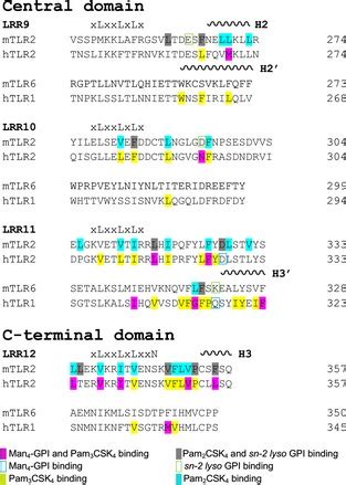 Structure Based Sequence Alignment Of The Ligand Binding Regions Of