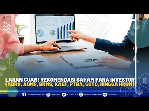 Lahan Cuan Rekomendasi Saham Para Investor Adro Admr Ptba Goto