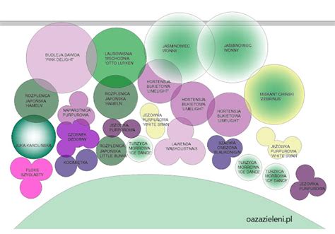 Oaza Zieleni Projekt Ogrodu Modna Fioletowa Rabata